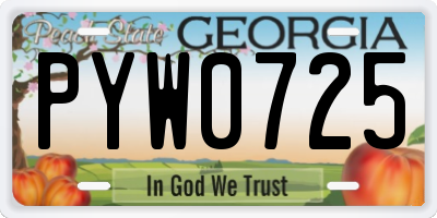 GA license plate PYW0725