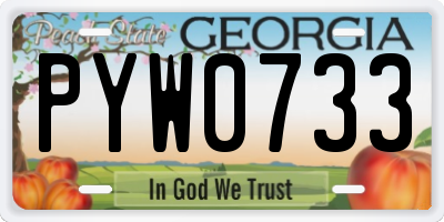 GA license plate PYW0733