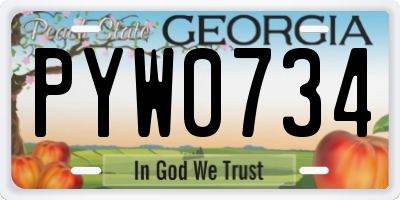 GA license plate PYW0734