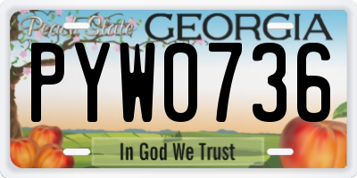 GA license plate PYW0736