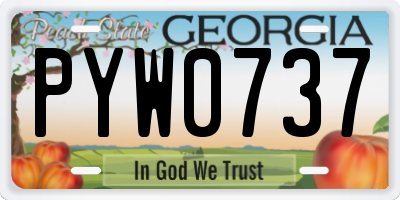 GA license plate PYW0737