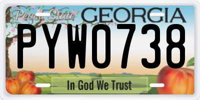 GA license plate PYW0738
