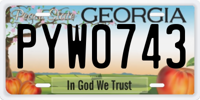 GA license plate PYW0743