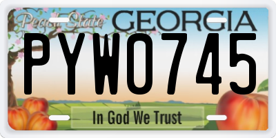GA license plate PYW0745