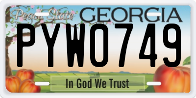 GA license plate PYW0749
