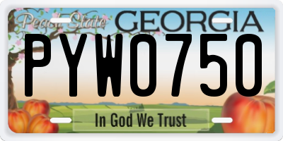 GA license plate PYW0750