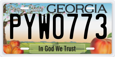 GA license plate PYW0773