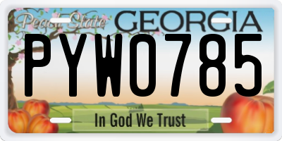 GA license plate PYW0785