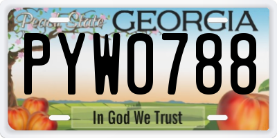 GA license plate PYW0788
