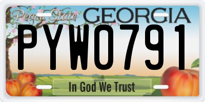 GA license plate PYW0791