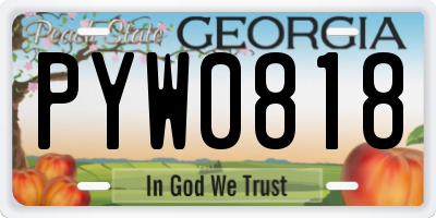 GA license plate PYW0818