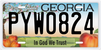 GA license plate PYW0824