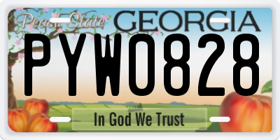 GA license plate PYW0828