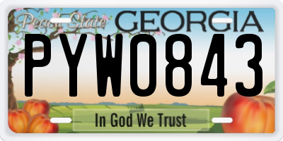 GA license plate PYW0843
