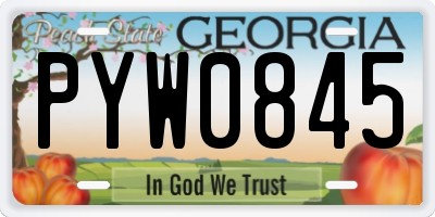 GA license plate PYW0845
