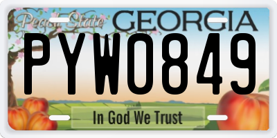 GA license plate PYW0849