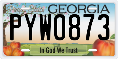 GA license plate PYW0873