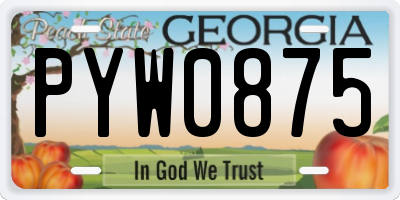 GA license plate PYW0875