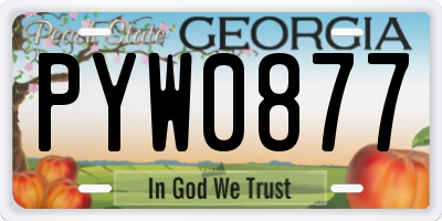 GA license plate PYW0877