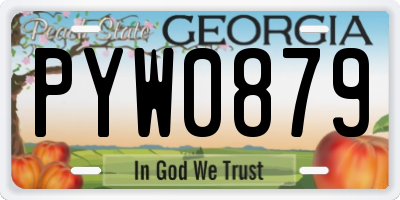 GA license plate PYW0879