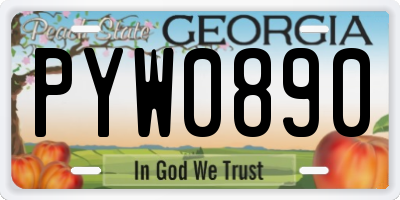 GA license plate PYW0890