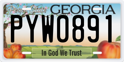GA license plate PYW0891