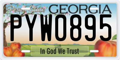 GA license plate PYW0895