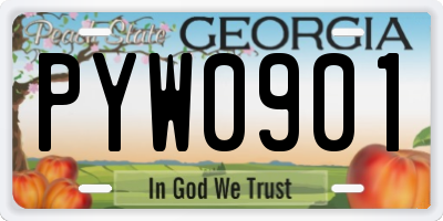 GA license plate PYW0901