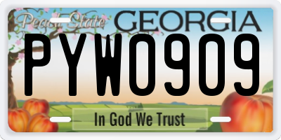 GA license plate PYW0909