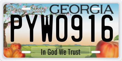 GA license plate PYW0916