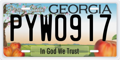 GA license plate PYW0917