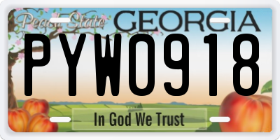 GA license plate PYW0918
