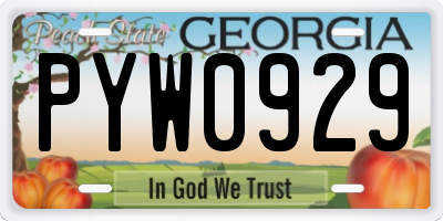 GA license plate PYW0929