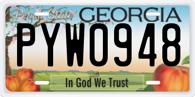 GA license plate PYW0948