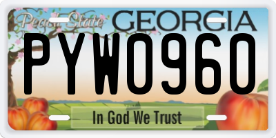 GA license plate PYW0960