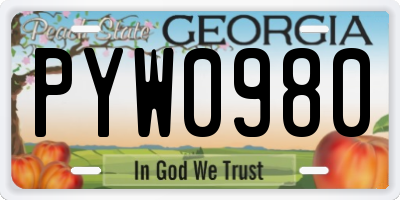 GA license plate PYW0980