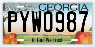 GA license plate PYW0987