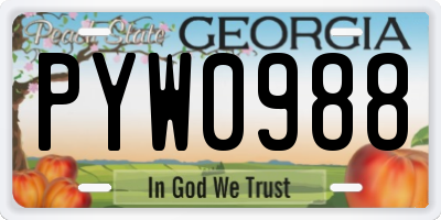 GA license plate PYW0988