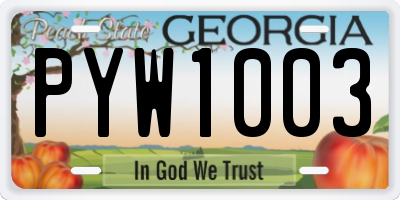 GA license plate PYW1003