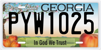 GA license plate PYW1025