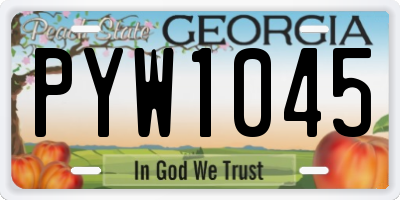GA license plate PYW1045