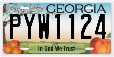 GA license plate PYW1124