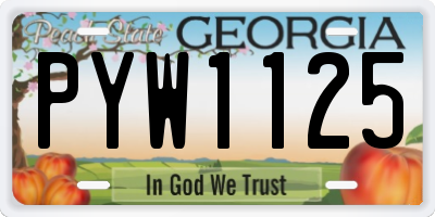 GA license plate PYW1125