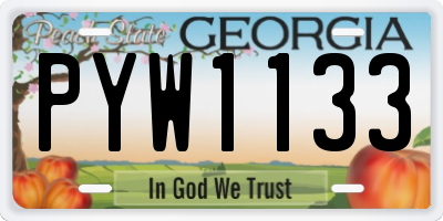 GA license plate PYW1133