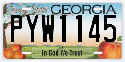 GA license plate PYW1145