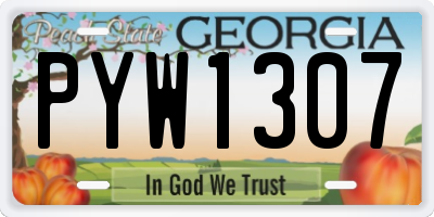 GA license plate PYW1307