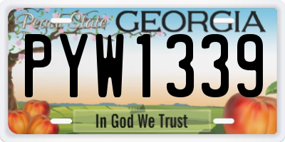 GA license plate PYW1339