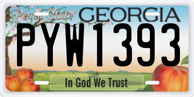 GA license plate PYW1393