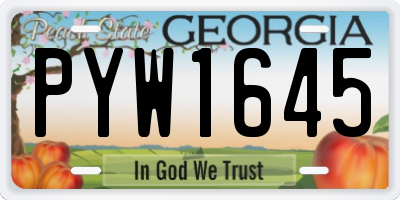 GA license plate PYW1645