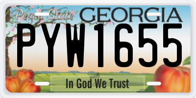 GA license plate PYW1655